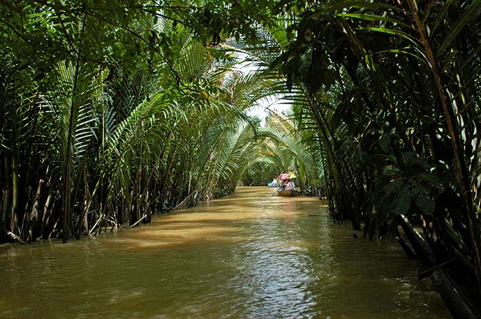 Río Mekong, excursiones al Mekong Vietnam, excursiones desde Ho Chi Minh, Vietnam, Ruta por Vietnam, qué ver en Vietnam en 10 días, mejores lugares que ver en Vietnam, qué ver en Vietnam barato, guía qué ver en Vietnam con mapa, qué ver en Vietnam y alrededores, qué ver en Vietnam en verano, qué ver en Vietnam por primera vez, qué ver cerca de Vietnam, mapa qué ver en Vietnam, qué ver en el Sudeste Asiático, 