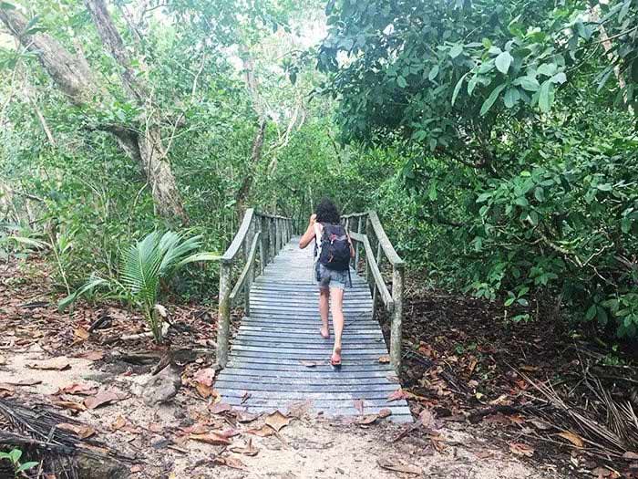 Qué ver en Puerto Viejo (Costa Rica) Guía 2025 11 qué ver en Puerto Viejo, mejores playas Puerto Viejo, Parque Cahuita cómo visitar, dónde ver perezosos Puerto Viejo, playas Punta Uva Cocles Chiquita, cómo llegar a Puerto Viejo, tours Cahuita, tours Jaguar Rescue, excursión rafting Pacuare, alquiler de bicis en Puerto Viejo, alojamiento Puerto Viejo, cómo cruzar frontera desde Panamá, qué ver en Puerto Viejo en 2 días, mejores playas cerca de Puerto Viejo Costa Rica, ver perezosos en Puerto Viejo sin entrar al parque, ruta por Costa Rica, Costa Rica en 2 semanas, Parque Nacional Cahuita