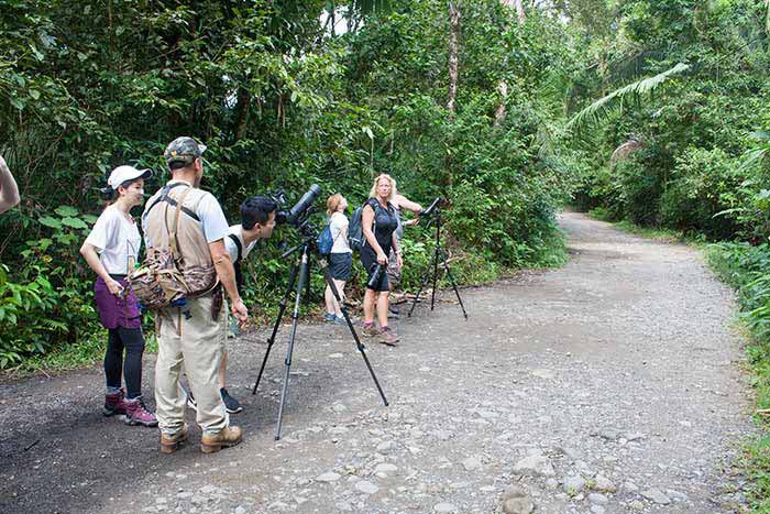 Qué hacer en Manuel Antonio, qué ver en Manuel Antonio, Parque nacional Manuel Antonio qué ver, Manuel Antonio Costa Rica guía, qué ver en Costa Rica, precio Parque nacional Manuel Antonio, cómo llegar a Manuel Antonio, mejores playas de costa rica, mejores playas de Manuel Antonio, excursiones Manuel Antonio, ver perezosos en Manuel Antonio, ver monos en Manuel Antonio, mejor época Manuel Antonio, cuántos días se necesitan en Manuel Antonio, hoteles Manuel Antonio, Costa Rica, Centroamérica, 