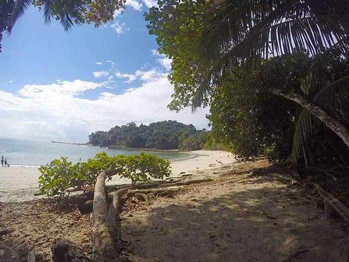 Qué hacer en Manuel Antonio, qué ver en Manuel Antonio, Parque nacional Manuel Antonio qué ver, Manuel Antonio Costa Rica guía, qué ver en Costa Rica, precio Parque nacional Manuel Antonio, cómo llegar a Manuel Antonio, mejores playas de costa rica, mejores playas de Manuel Antonio, excursiones Manuel Antonio, ver perezosos en Manuel Antonio, ver monos en Manuel Antonio, mejor época Manuel Antonio, cuántos días se necesitan en Manuel Antonio, hoteles Manuel Antonio, Costa Rica, Centroamérica, 