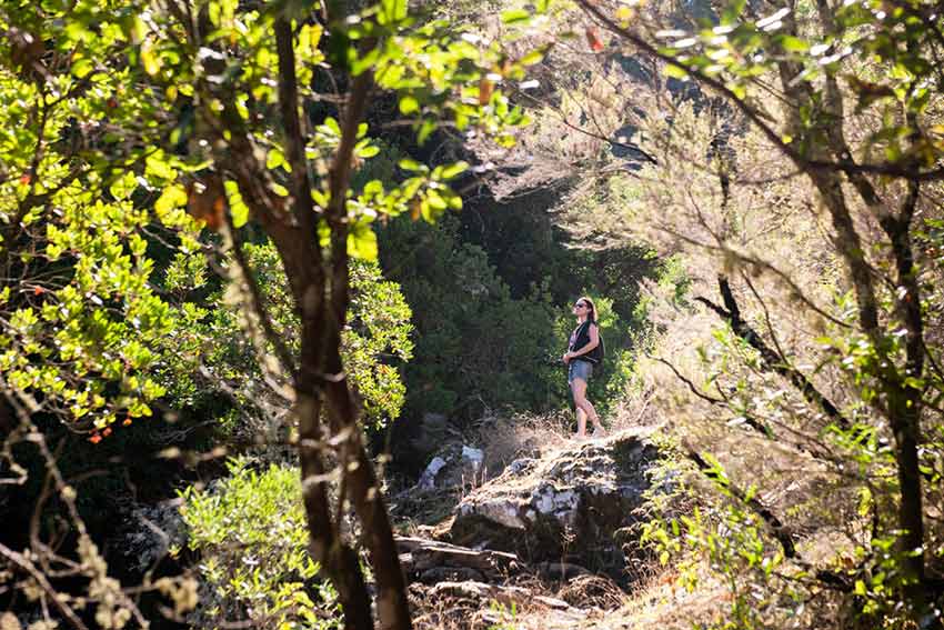 Escapadas Puente del Pilar: ideas para viajar en octubre según tu tiempo, presupuesto y tipo de viaje 12 Ruta por los imprescindibles que ver en la provincia de Cáceres