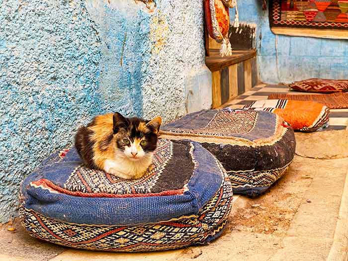 Qué ver en Fez, Fez Marruecos, qué hacer en Fez, Fez qué ver en 1 día, Fez qué ver en 2 días, medina de Fez, curtidurías Fez, qué ver en Fez en 1 día, itinerario imprescindible en Fez, qué ver en Fez en 2 días: ruta por la medina y barrios, mejores miradores Fez atardecer Merenid Tombs, horario y precio Madraza Bou Inania, horario Al-Attarine, mejores riads en Fez zona medina, excursiones desde Fez, qué comer en Fez platos típicos, seguridad para mujeres en Fez, Zoco Chemainne