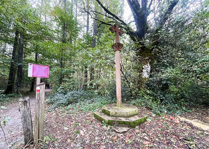Bosque Basajaunberro