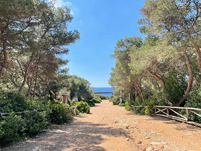 Qué ver en Puglia: guía completa para tu primera visita 15 Porto Selvaggio, Puglia