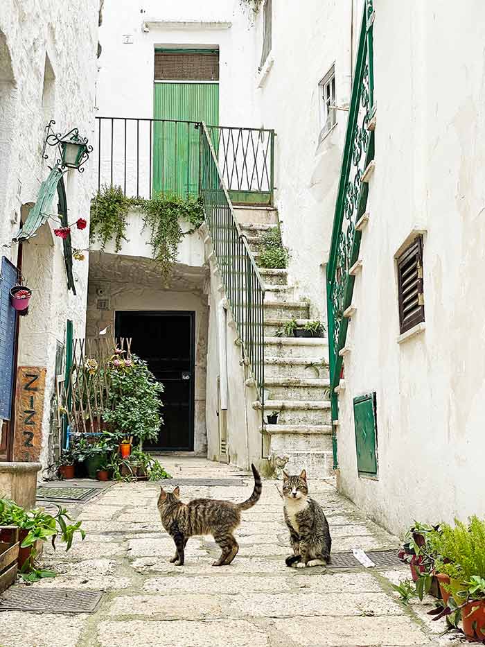 Qué ver en Puglia: guía completa para tu primera visita 9 Puglia, Apulia, Qué ver en Puglia, Ruta por Puglia, Puglia en 5 días, pueblos más bonitos de Puglia, imprescindibles Puglia, qué hacer en Puglia, itinerario Puglia, Puglia en una semana, ruta Puglia en coche, itinerario Puglia 7 días, Cisternino, Valle de Itria,