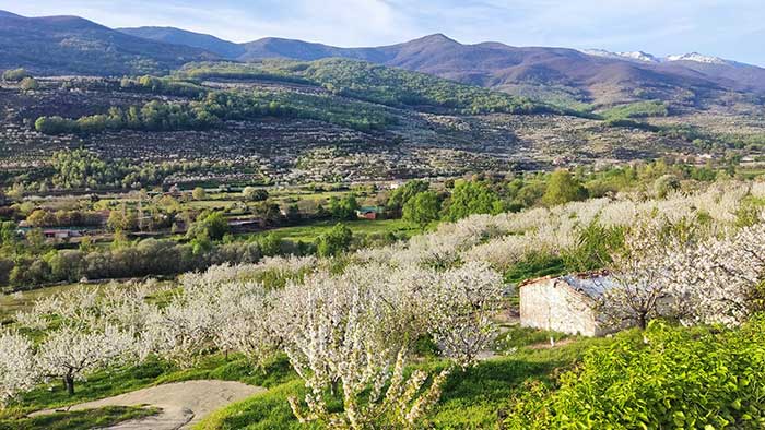 Los 10 pueblos más bonitos de Extremadura: una ruta por sus joyas escondidas 7 Valle del Jerte, Extremadura