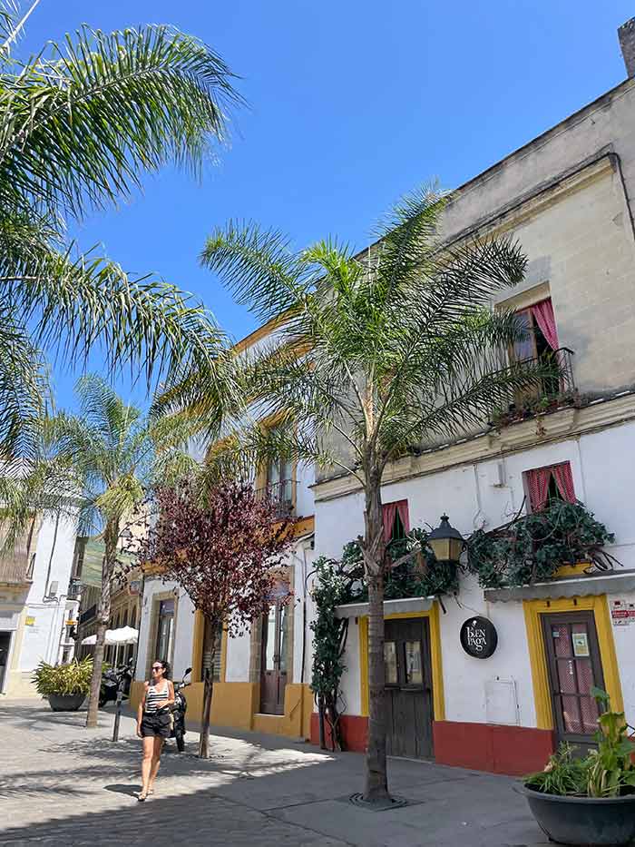 qué ver en Jerez de la Frontera, Jerez de la Frontera, qué hacer en Jerez de la Frontera, qué visitar en Jerez en un día, lugares que ver en Jerez de la Frontera, playas cercanas a Jerez, visita bodegas Jerez, guía Jerez para viajar, cómo llegar a Jerez de la Frontera, dónde comer en Jerez de la Frontera, mejores hoteles Jerez, mejores tabancos en Jerez, Tabancos de Jerez, Qué ver en Cádiz, mejores ciudades en Cádiz, Andalucía, Vero Sinmapa, Sinmapa Web de Viajes,