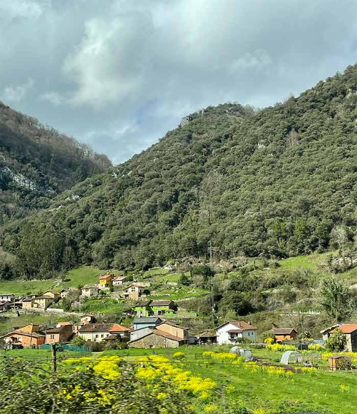 Taller de pan casero en Teverga, taller de pan casero Asturias, experiencias rurales en Asturias, Senda del oso Asturias, Qué ver en Teverga, Teverga Asturias, qué ver en Asturias, zonas bonitas de Asturias, pueblos bonitos en Asturias, pueblos de Teverga, como hacer la senda del oso, Senda del Oso en bici, Escapada de naturaleza en Asturias, Dónde comer en Teverga, Alojamiento rural con jacuzzi Asturias, alojamientos rurales en Asturias, rutas de senderismo en Teverga, zonas para hacer senderismo en Asturias, gastronomía asturiana, casa manolo Teverga, Parque Natural de las Ubiñas-La Mesa
