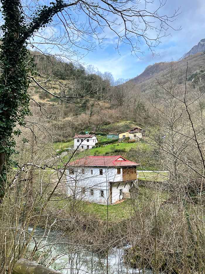 Paisajes rurales y naturales en Teverga, Asturias, Taller de pan casero en Teverga, taller de pan casero Asturias, experiencias rurales en Asturias, Senda del oso Asturias, Qué ver en Teverga, Teverga Asturias, qué ver en Asturias, zonas bonitas de Asturias, pueblos bonitos en Asturias, pueblos de Teverga, como hacer la senda del oso, Senda del Oso en bici, Escapada de naturaleza en Asturias, Dónde comer en Teverga, Alojamiento rural con jacuzzi Asturias, alojamientos rurales en Asturias, rutas de senderismo en Teverga, zonas para hacer senderismo en Asturias, gastronomía asturiana, casa manolo Teverga 