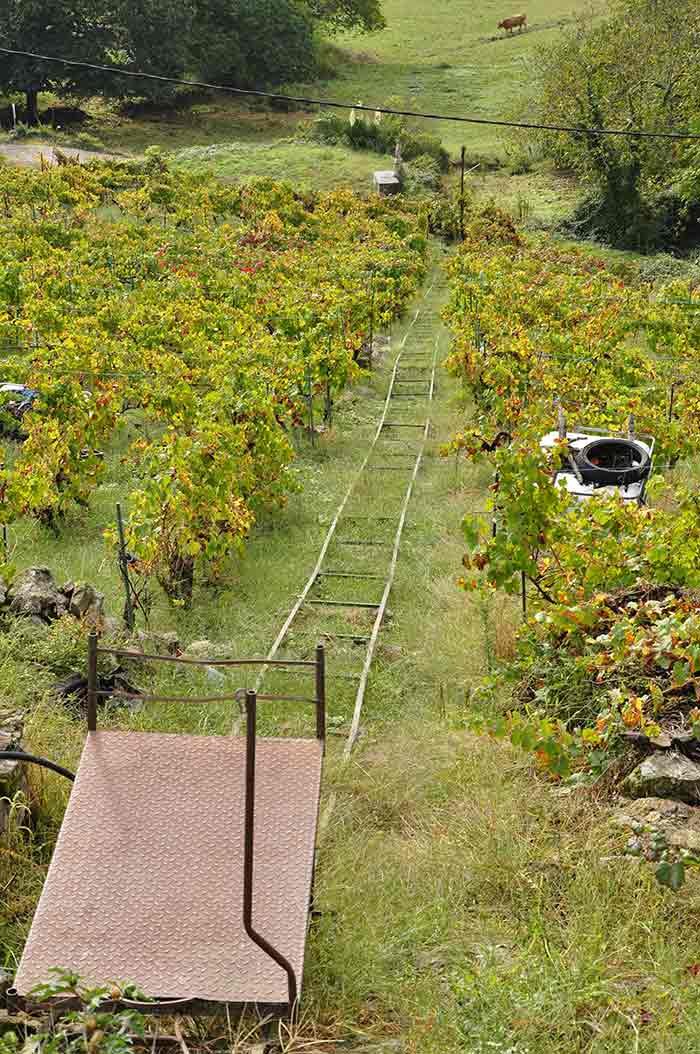 Escapadas Puente del Pilar: ideas para viajar en octubre según tu tiempo, presupuesto y tipo de viaje 18 Viñedos en la Ribeira Sacra Galicia